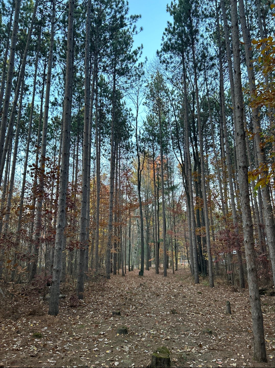 Hole 9 looking down the fairway