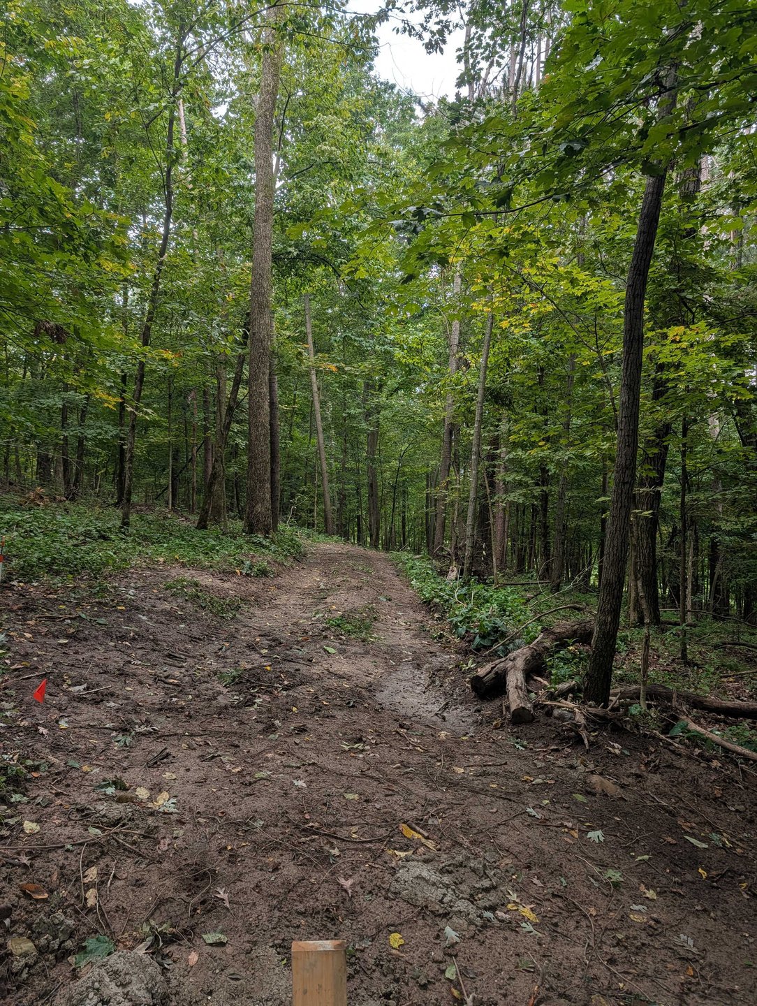 Hole 3 - Fairway from short tee - touchy shot that slightly bends to the right