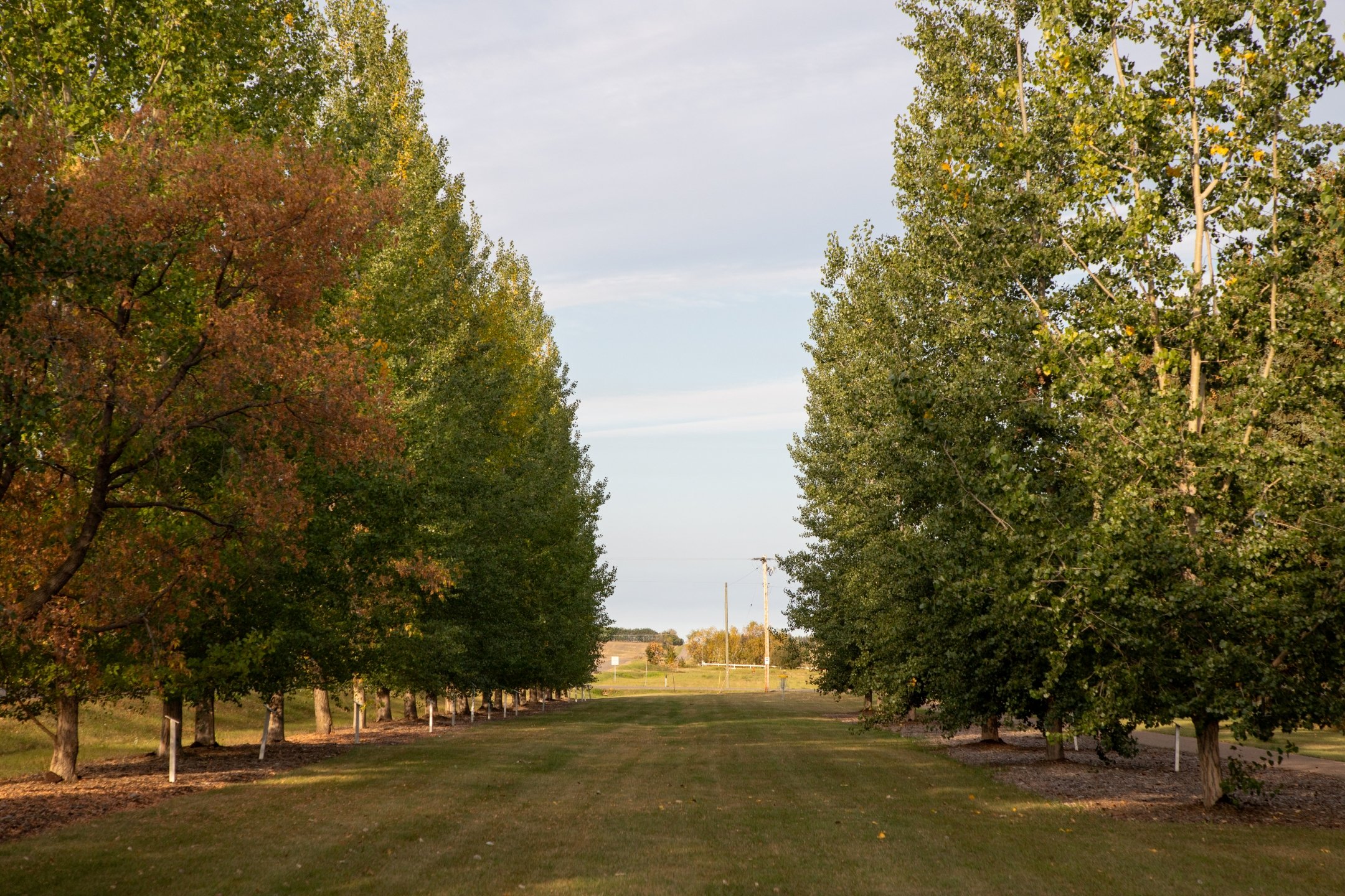 Looking down hole 4's fairway