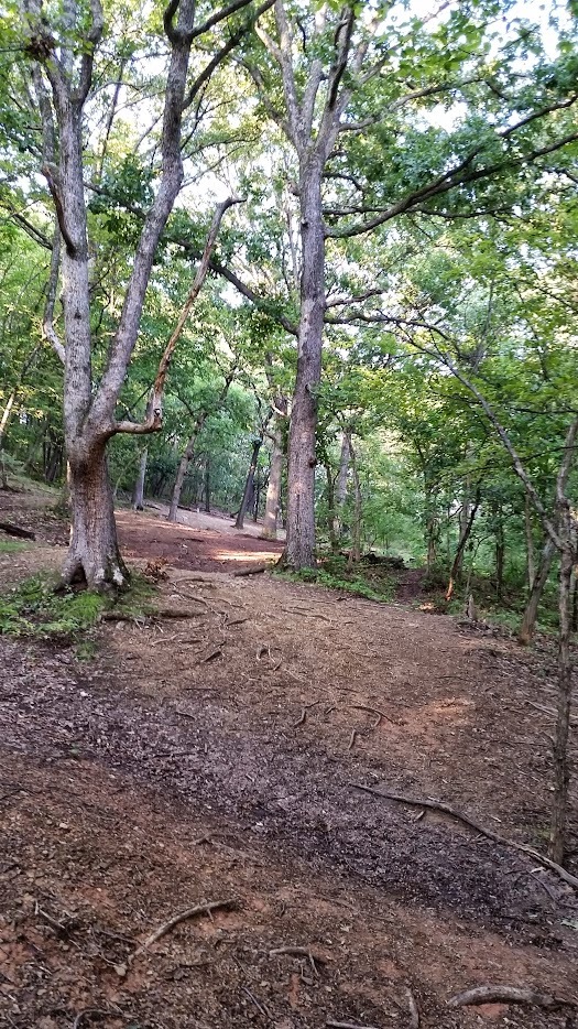 The "L" shaped branch at the front of the photo is long gone.  Three possible pin positions on this hole.  Fairway is a gradual uphill.