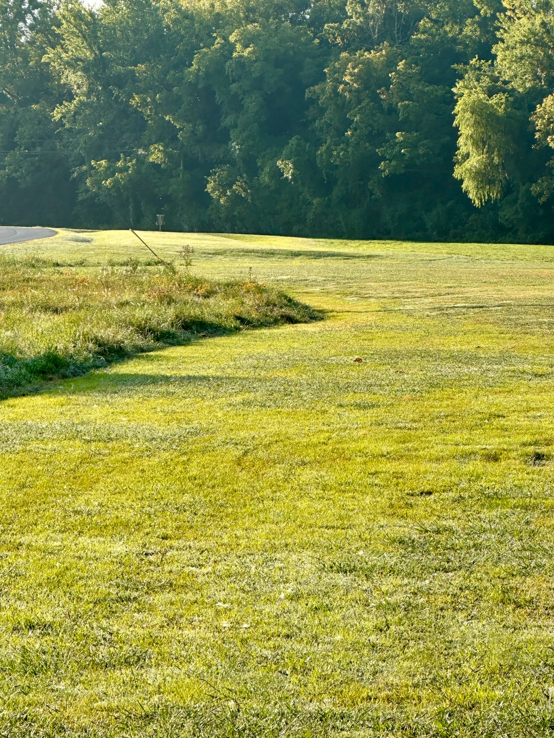 Hole 1 Tee