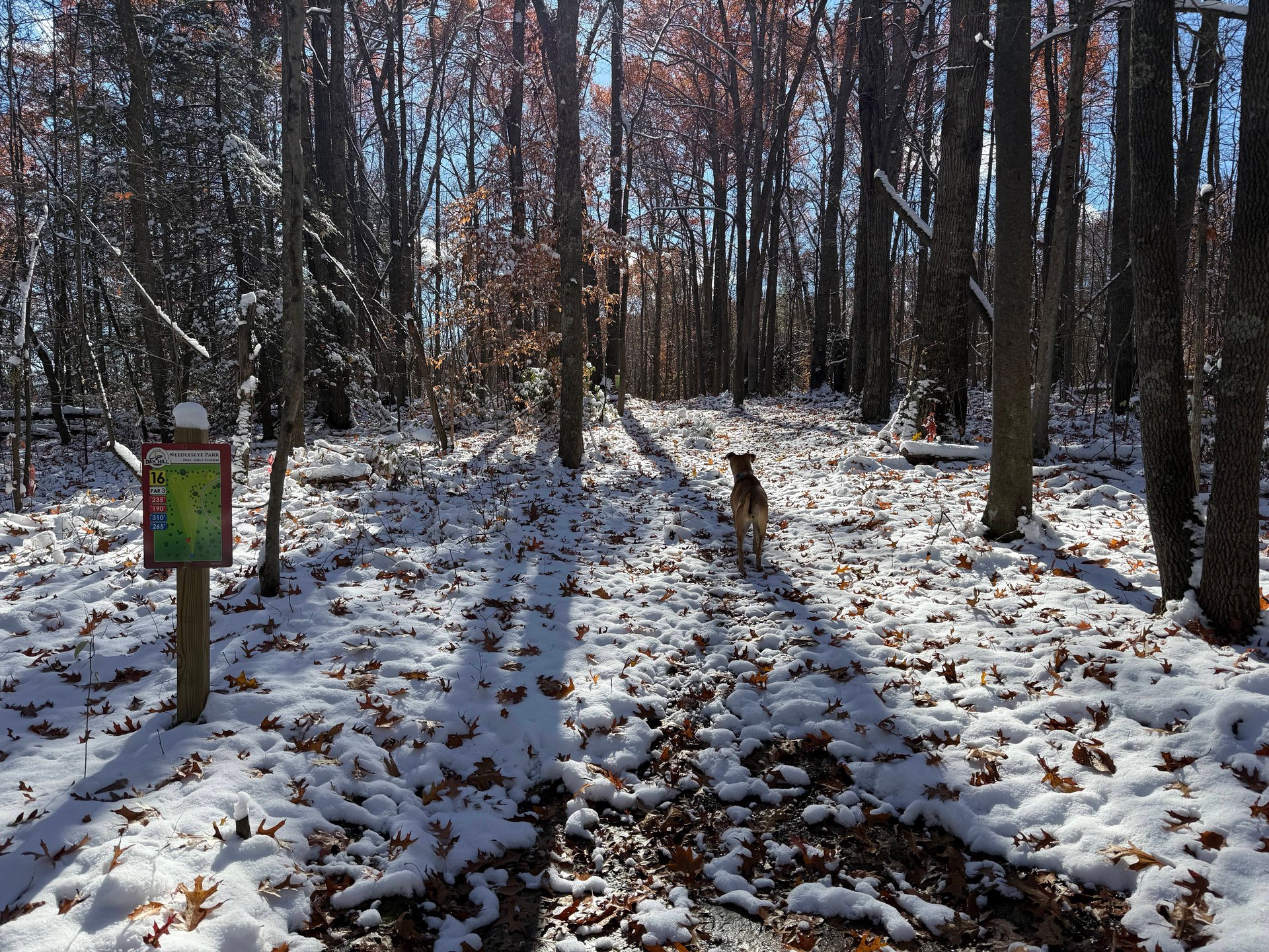 View from the long teepad