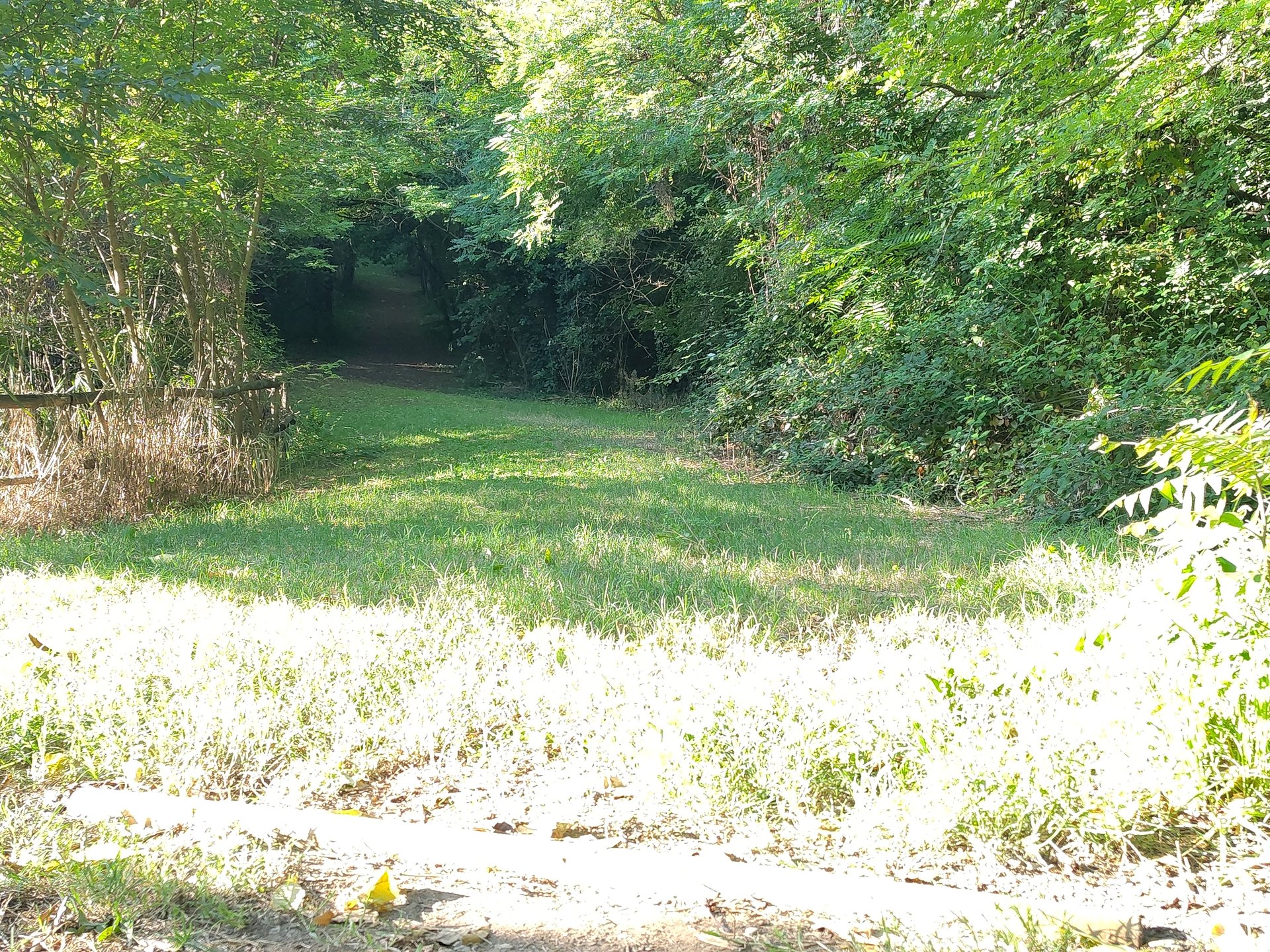 tee hole 5 (yellow layout)