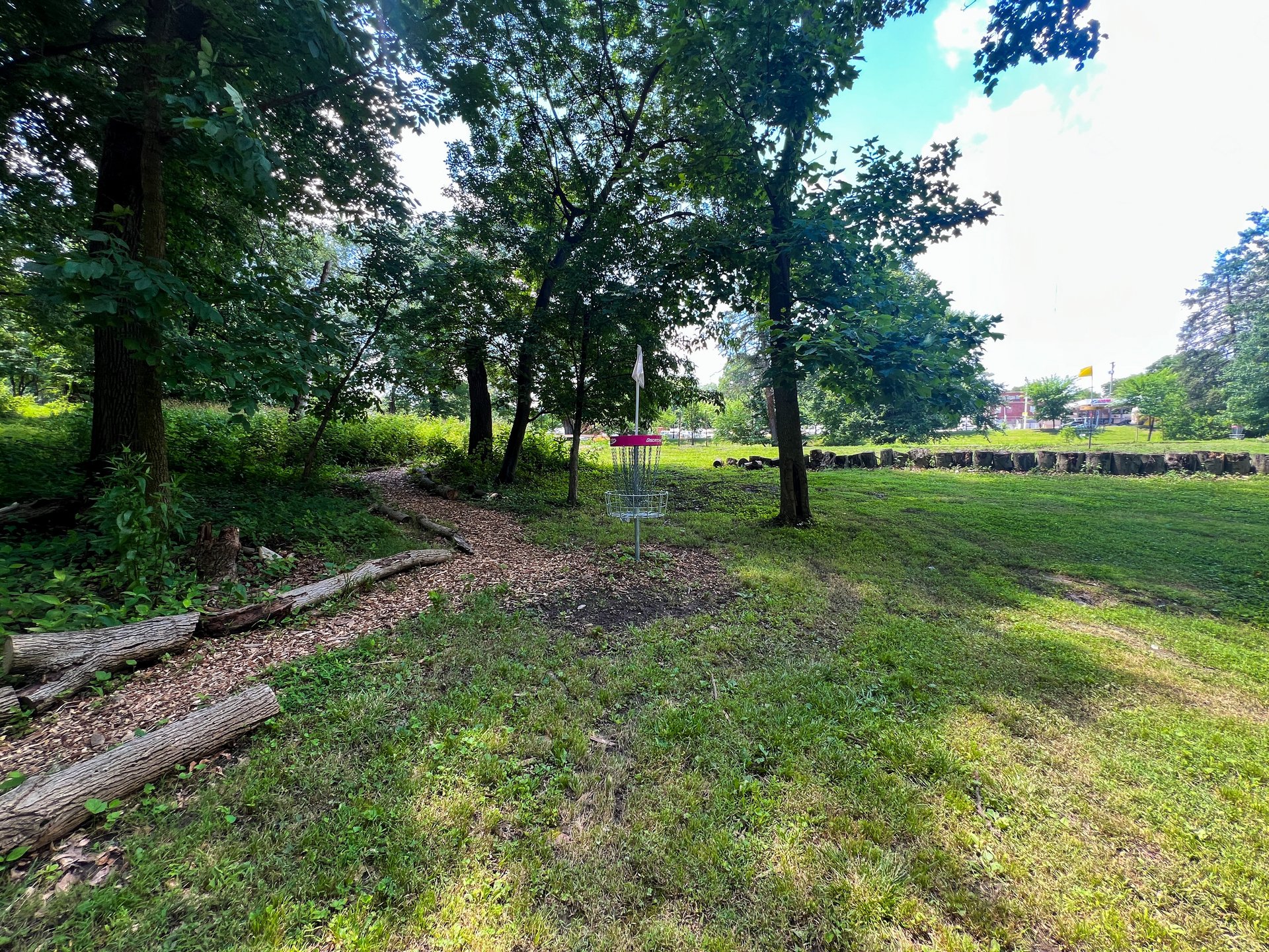 Hole 5's pink basket. Par 3. 263 ft. 