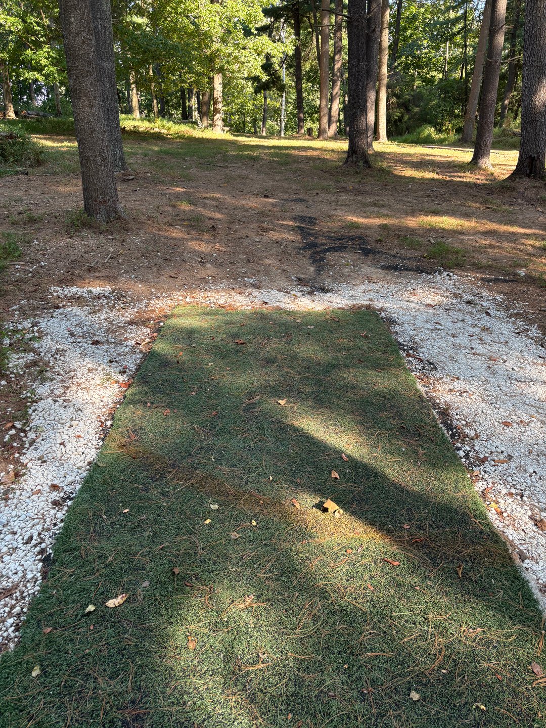 King Arthur - This hole begins the adventure. In the distance you can see a shining white tree (Excalibur). You must stay to the right or your journey will be difficult.