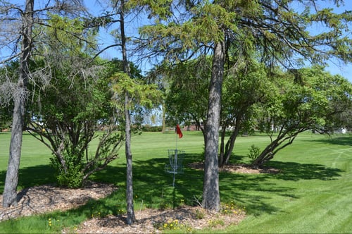 Basket Hole #2