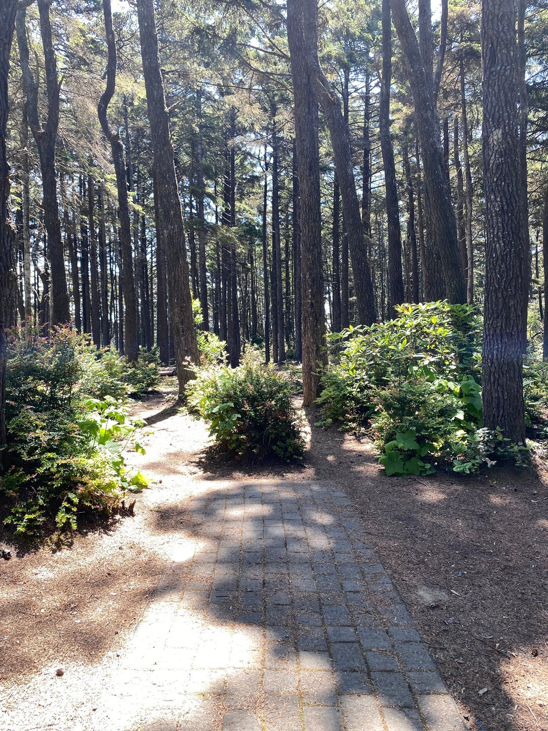 Tee pad for Hole 14 on the Main layout and Hole 21A on the Bandon 30 layout.
