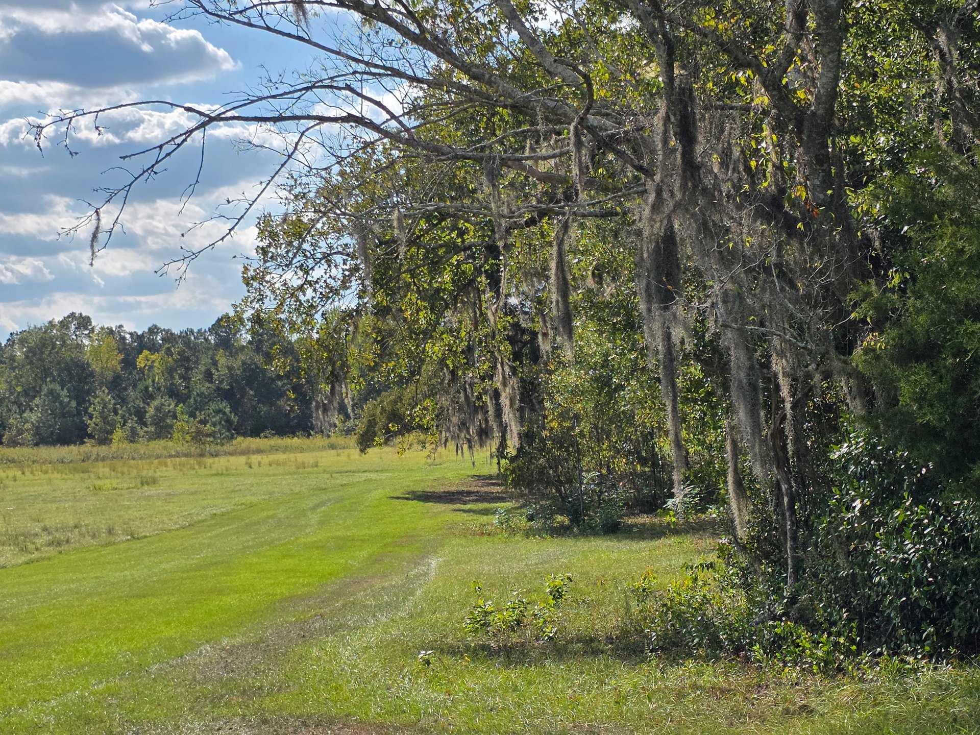 Looking down the fairway at hole 7 at the turn.