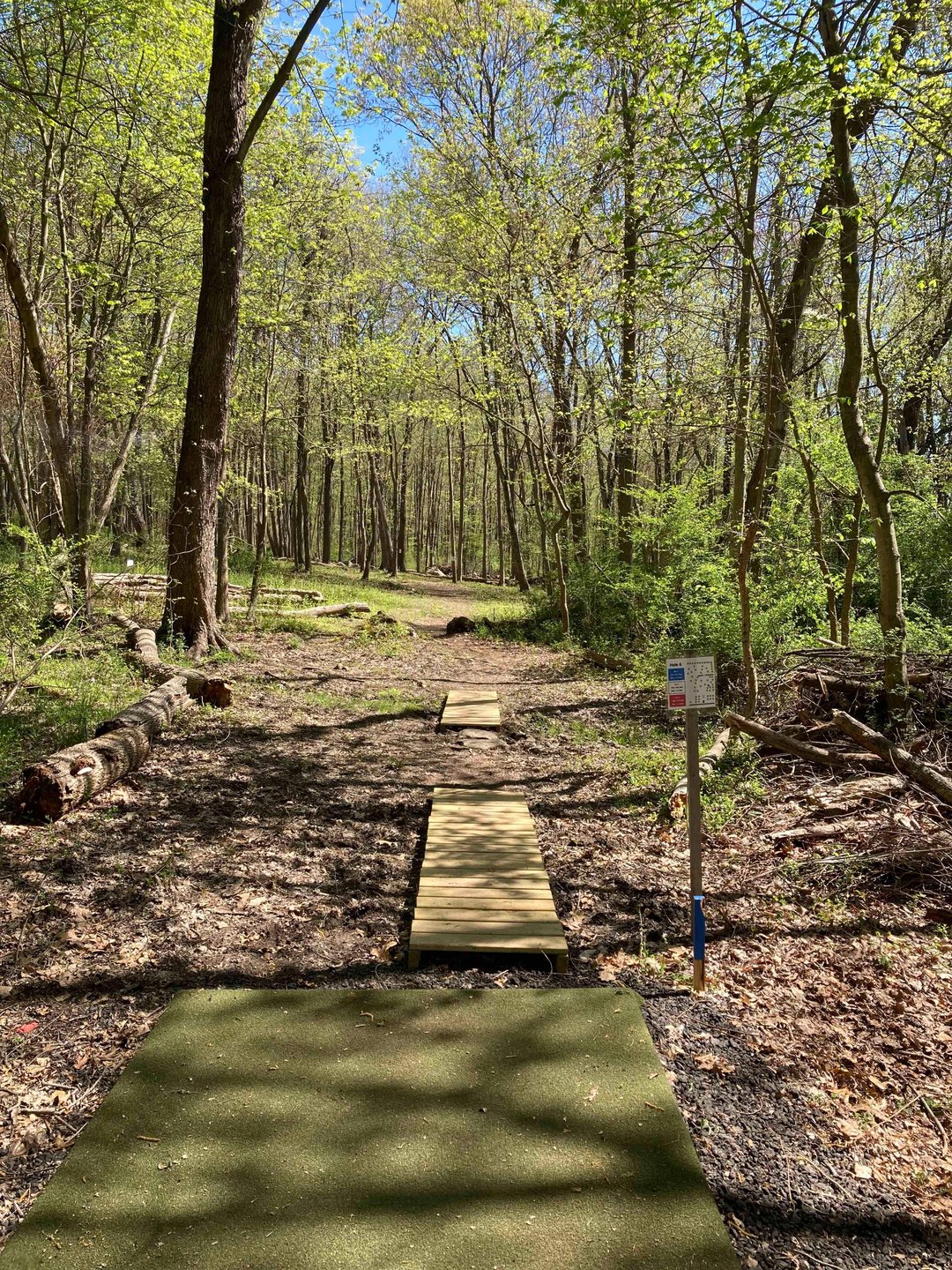 View from Hole 6 blue tee