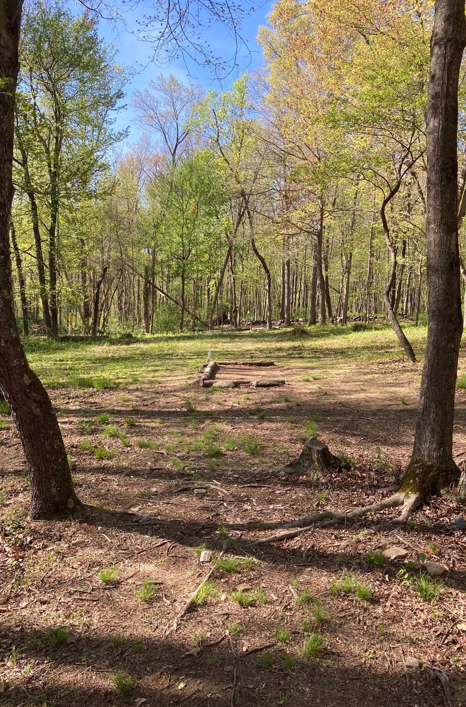View from Hole 16 blue tee