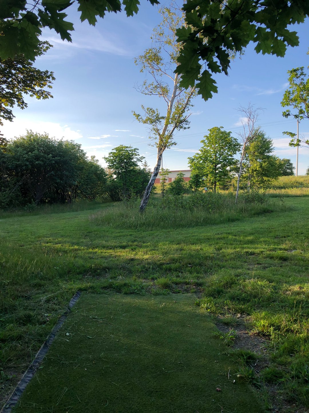 Hole 5 from blue tee