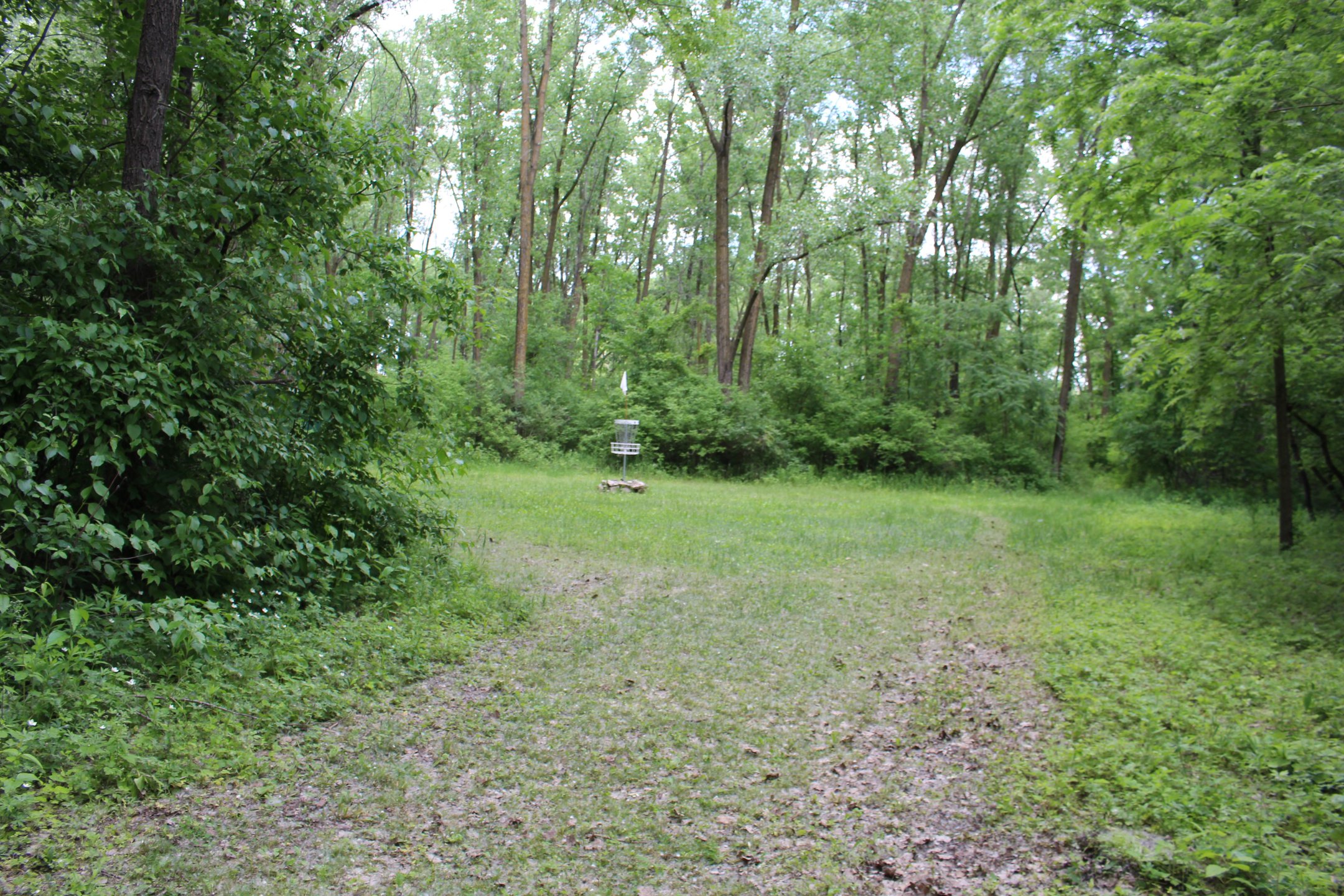 #11: Wide open green, slightly elevated basket