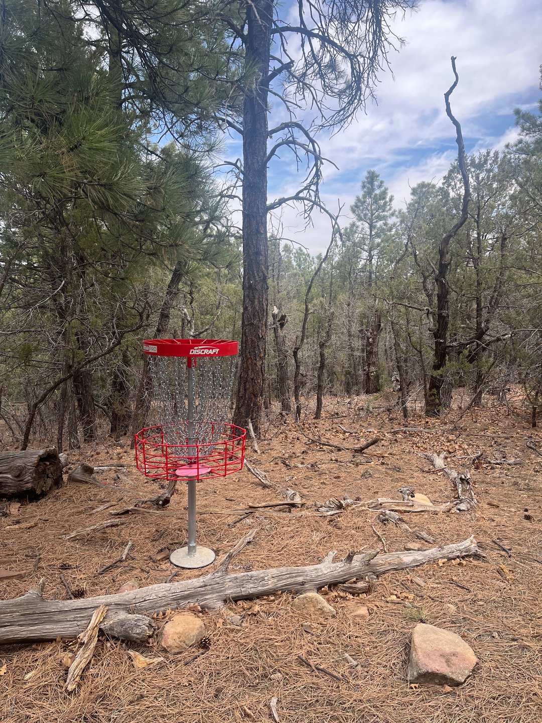 Hole 6 Basket