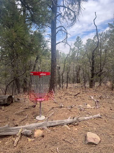 Hole 6 Basket