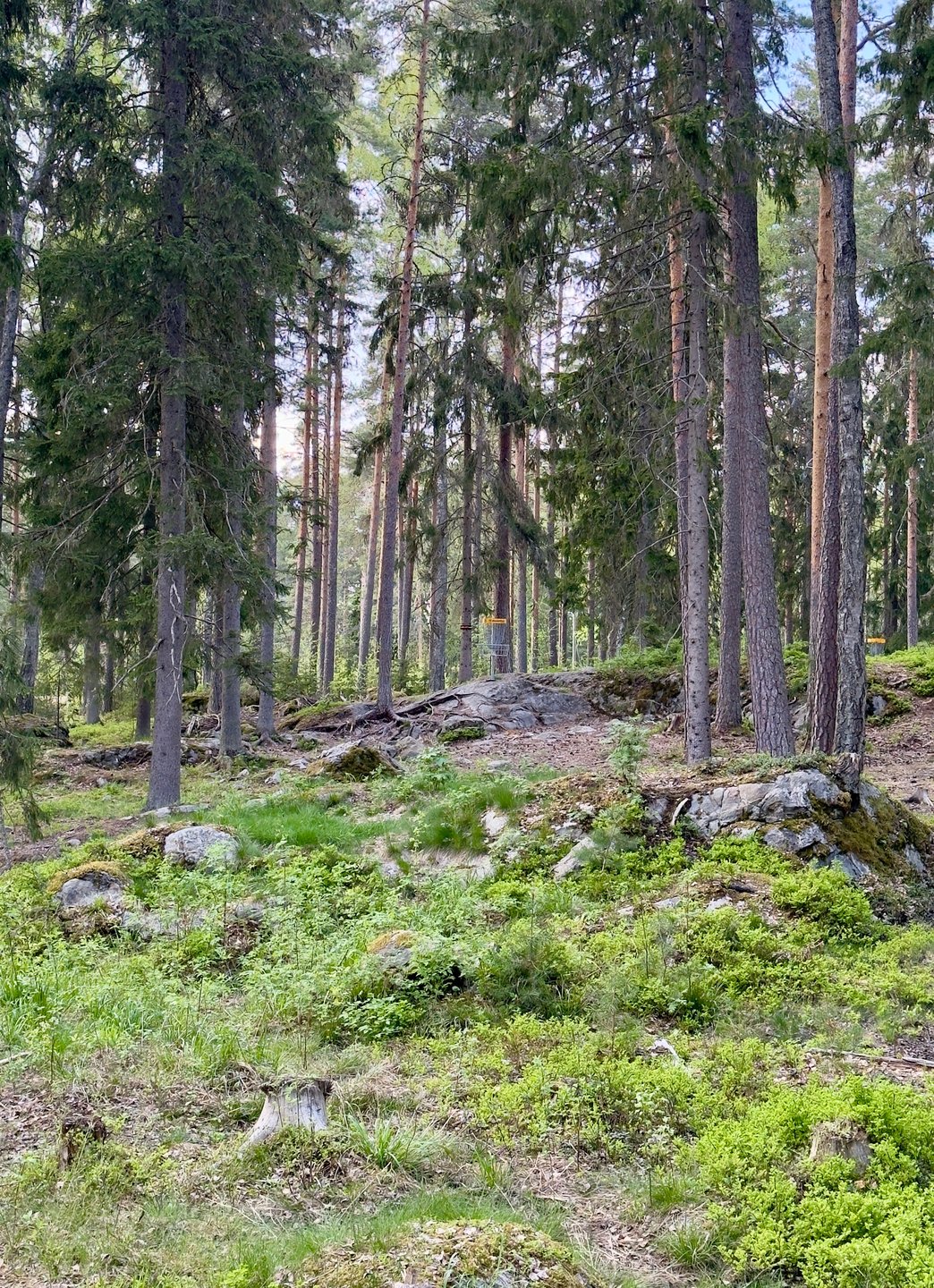 Väylä 6