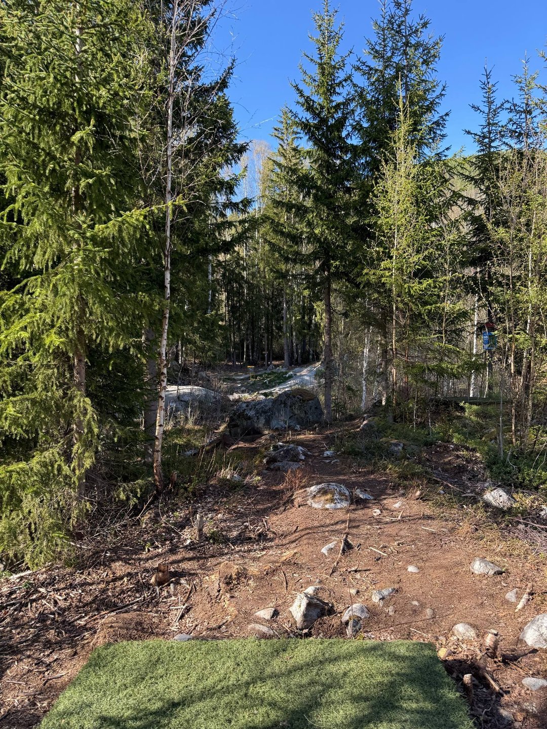 Rødt utkast