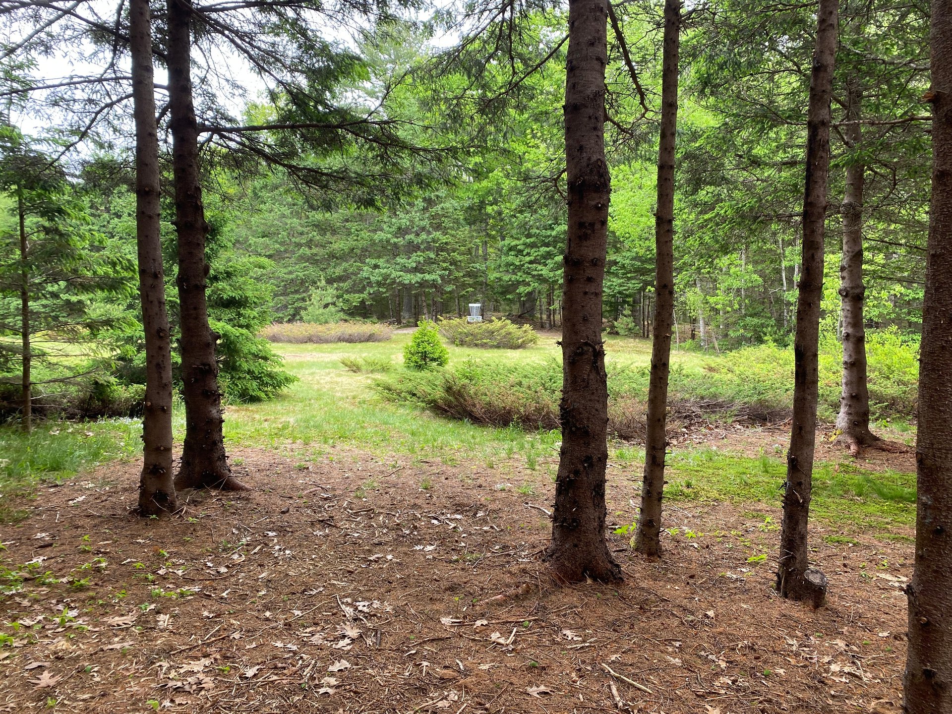 Approach view hole #1