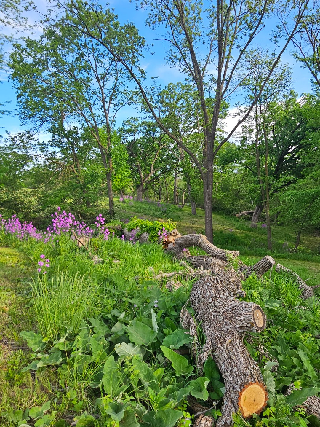 Looking down the fairway.