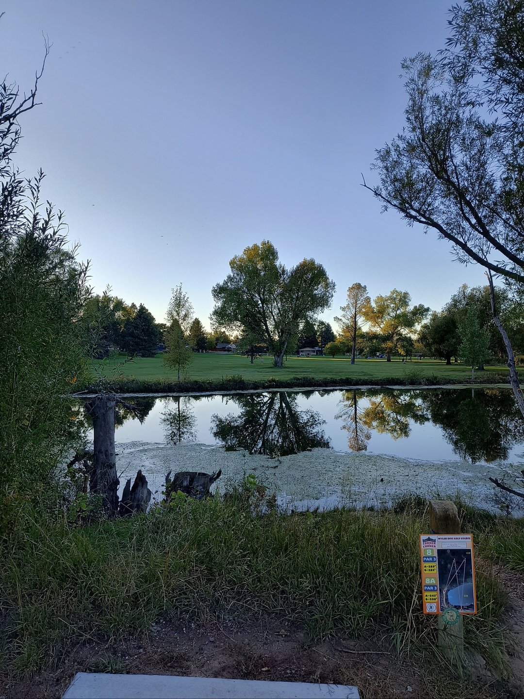 Main Tee