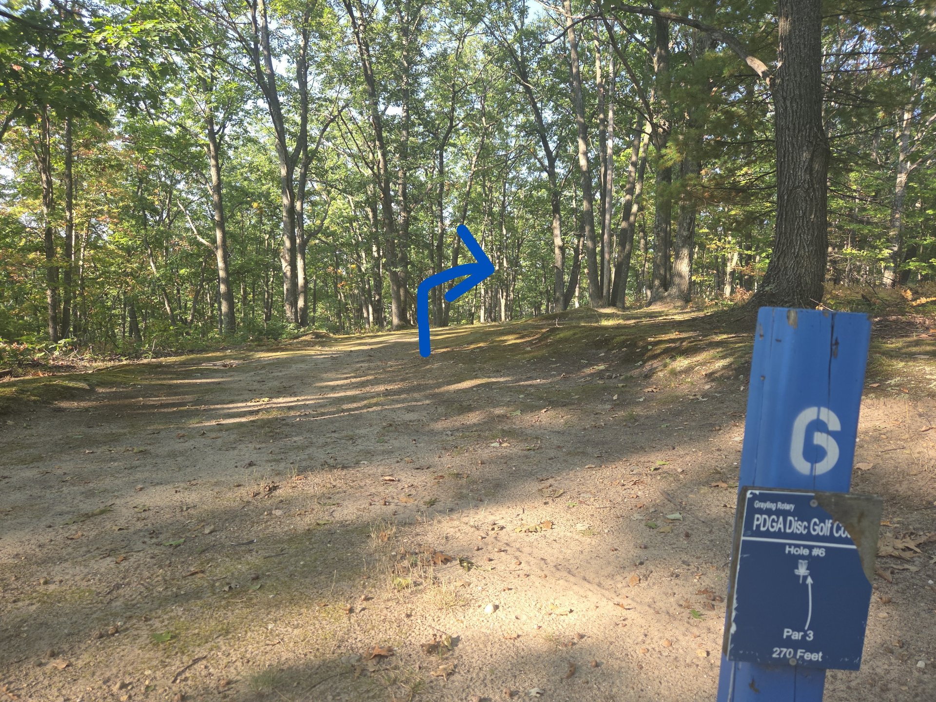 #6 tee to basket