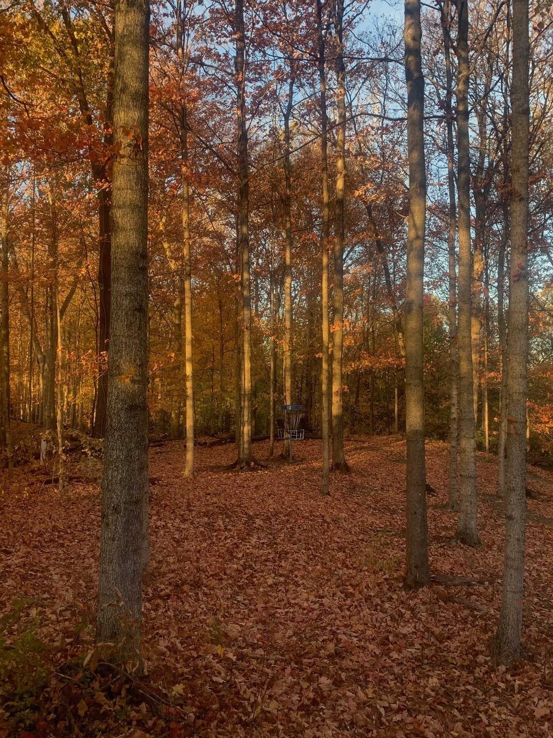 Taken by Austin Fast.