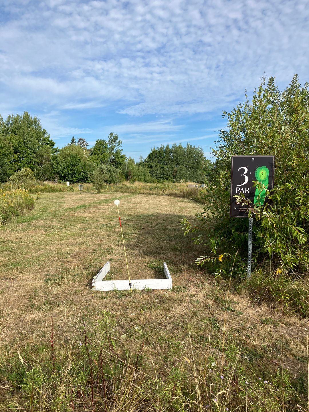 Hole 3 tee