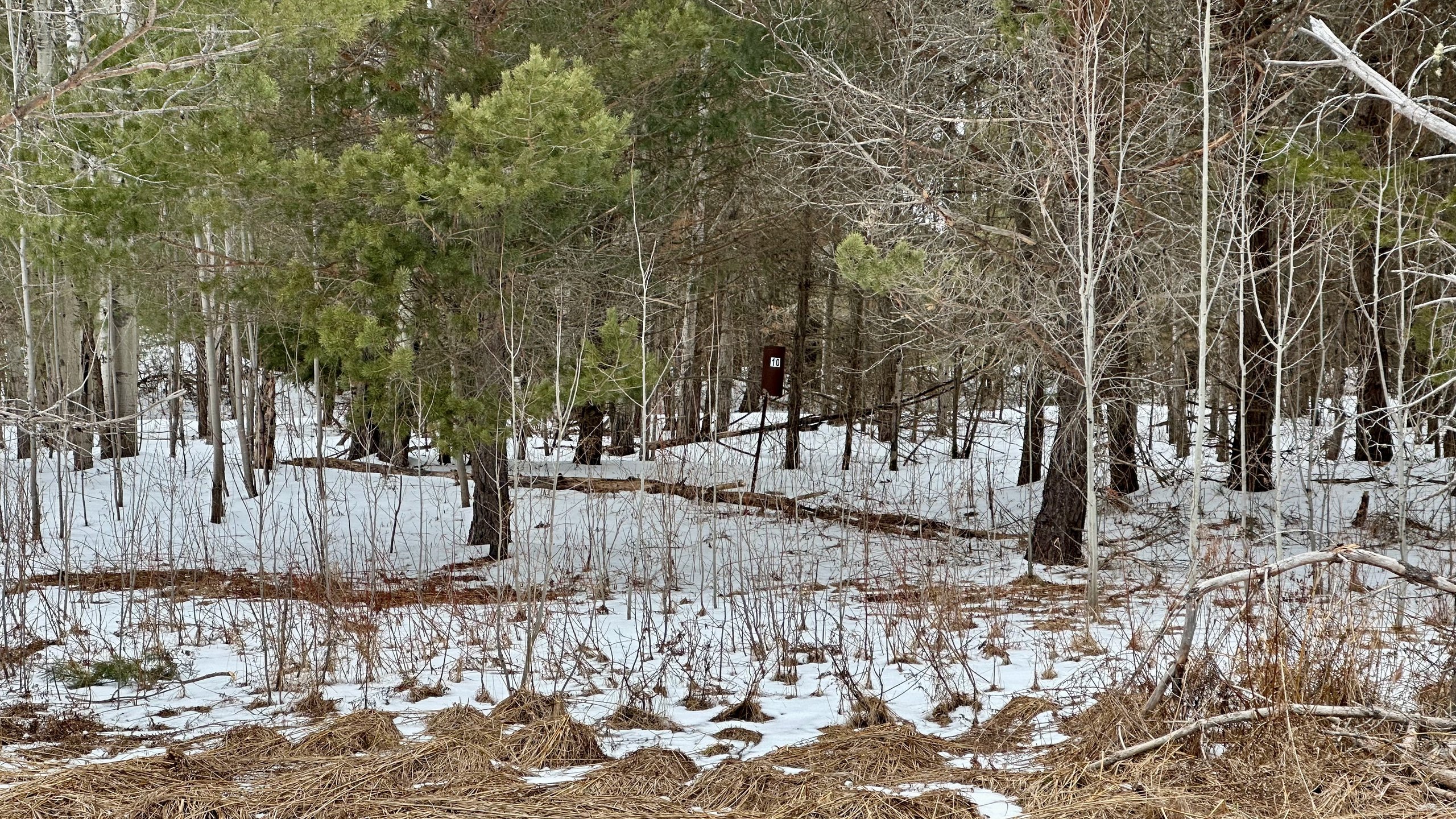 Old #10 tonal - still can be played when the swamp is frozen (or if you have a bathing suit and sandals).