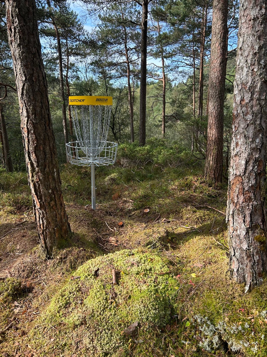 Kurv bak trær hull 7