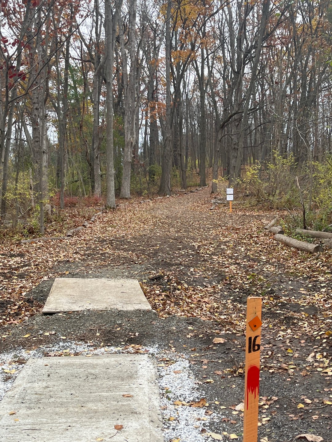 Tee 16. Basket up and behind marked tree.
