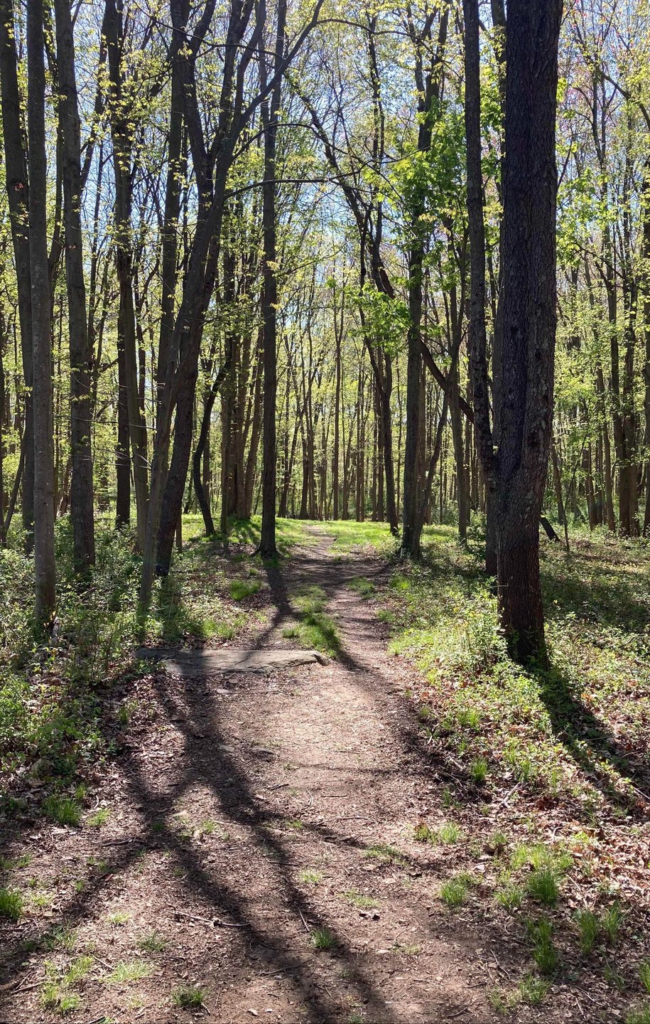 View from Hole 13 blue tee
