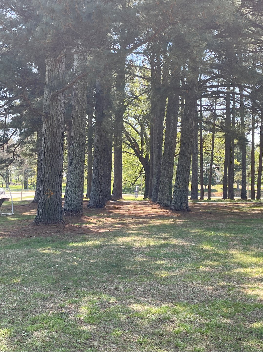 A look at the tunnel short from the short tee box. 