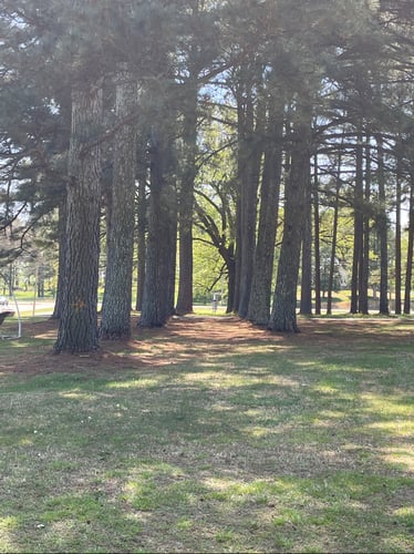 A look at the tunnel short from the short tee box. 