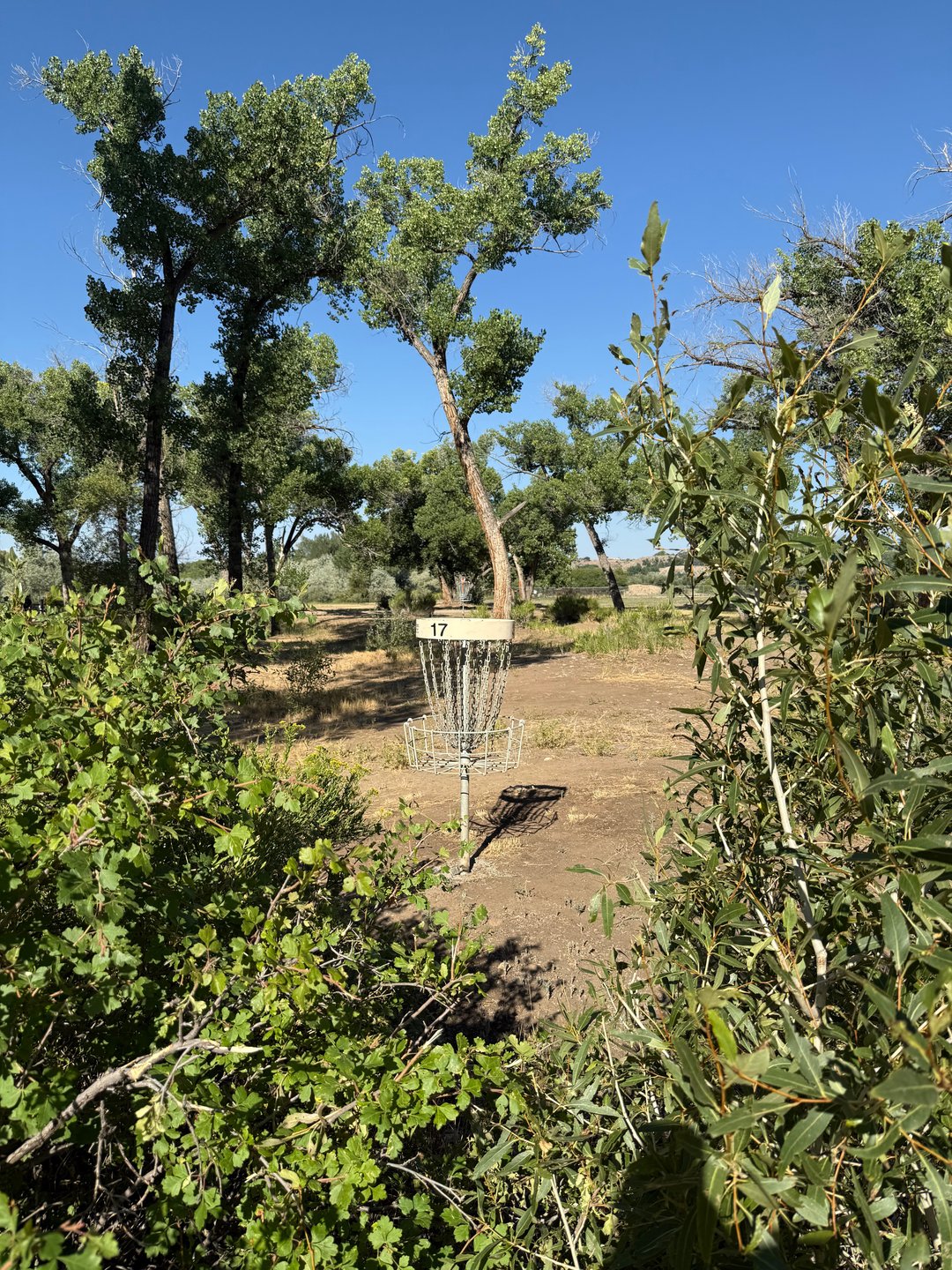 The short and long baskets of hole 17.