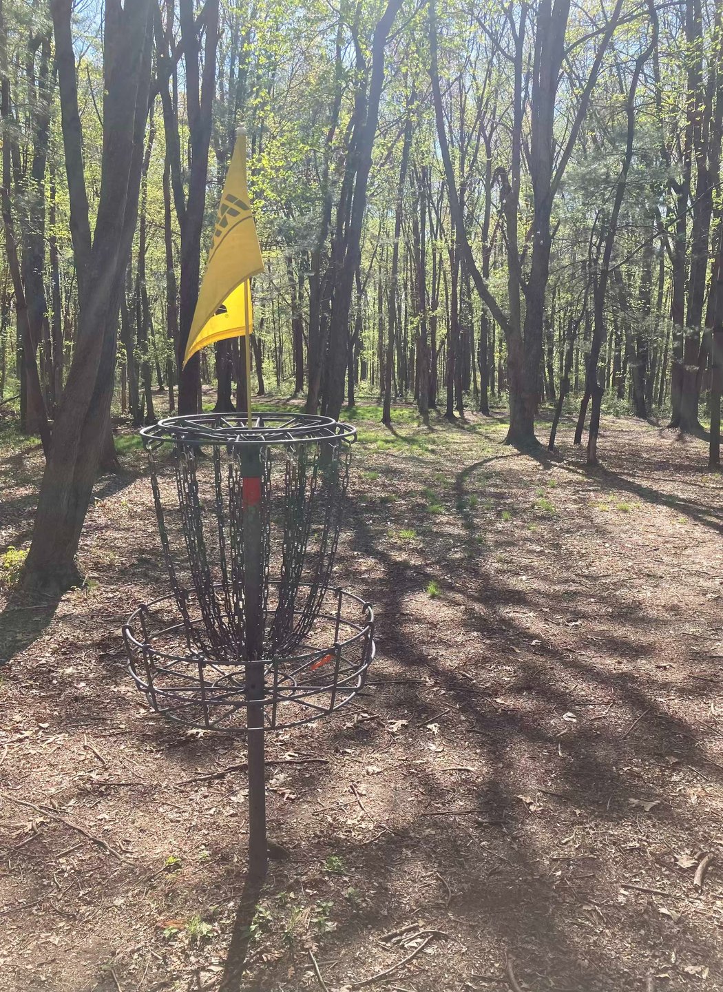 View from Hole 14 basket back up fairway