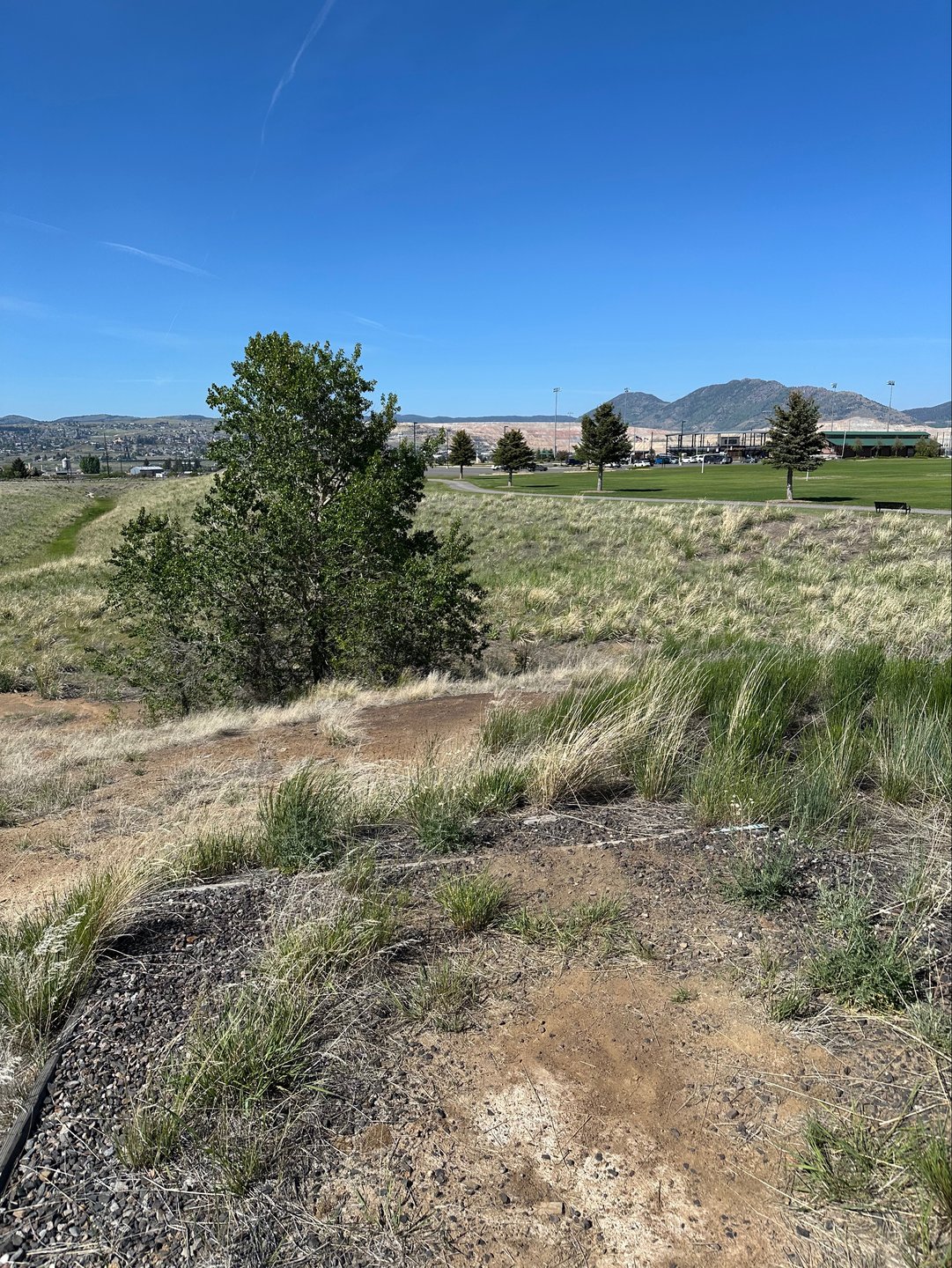 Hole 18 tee box