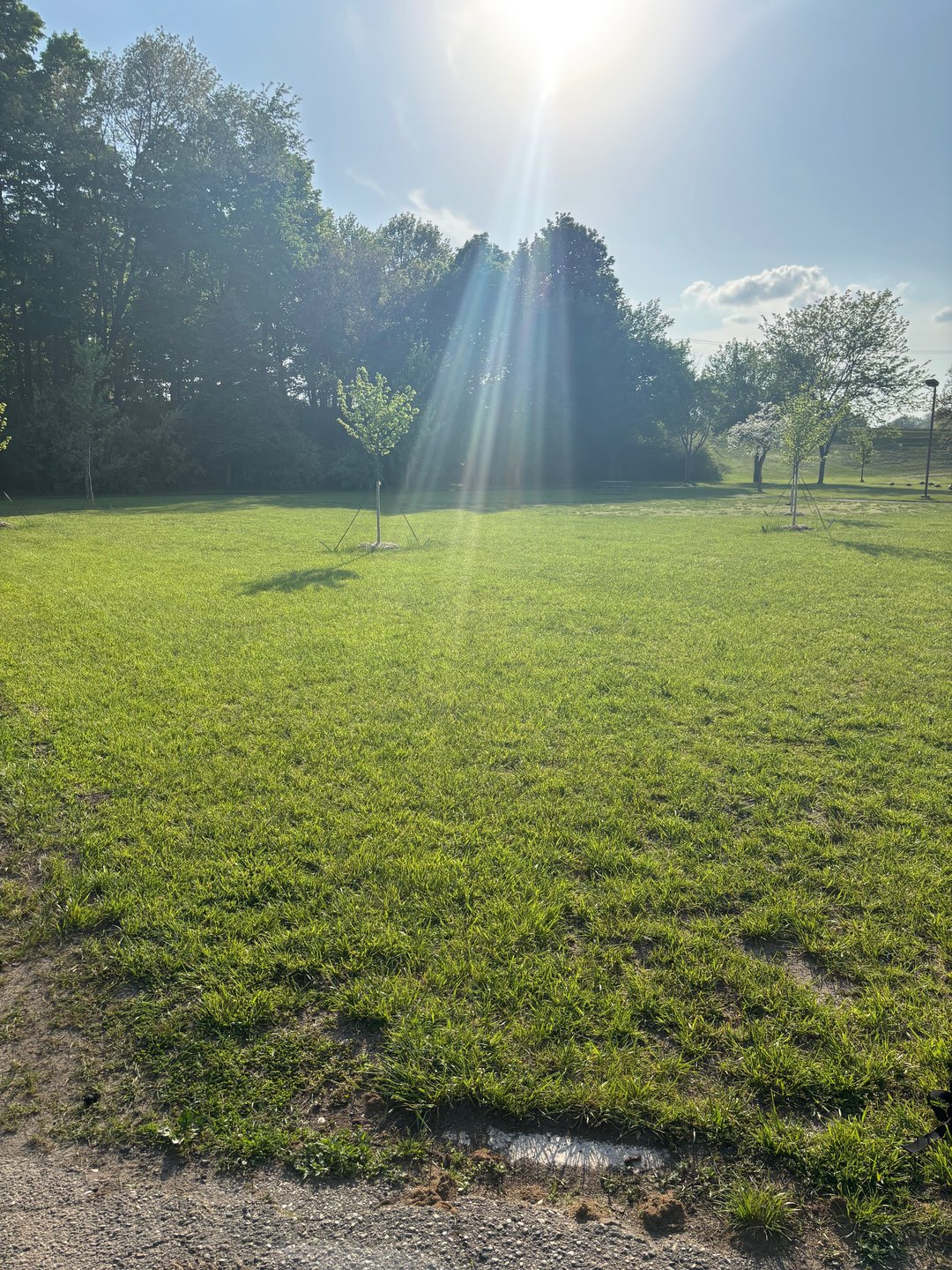 Tee 1