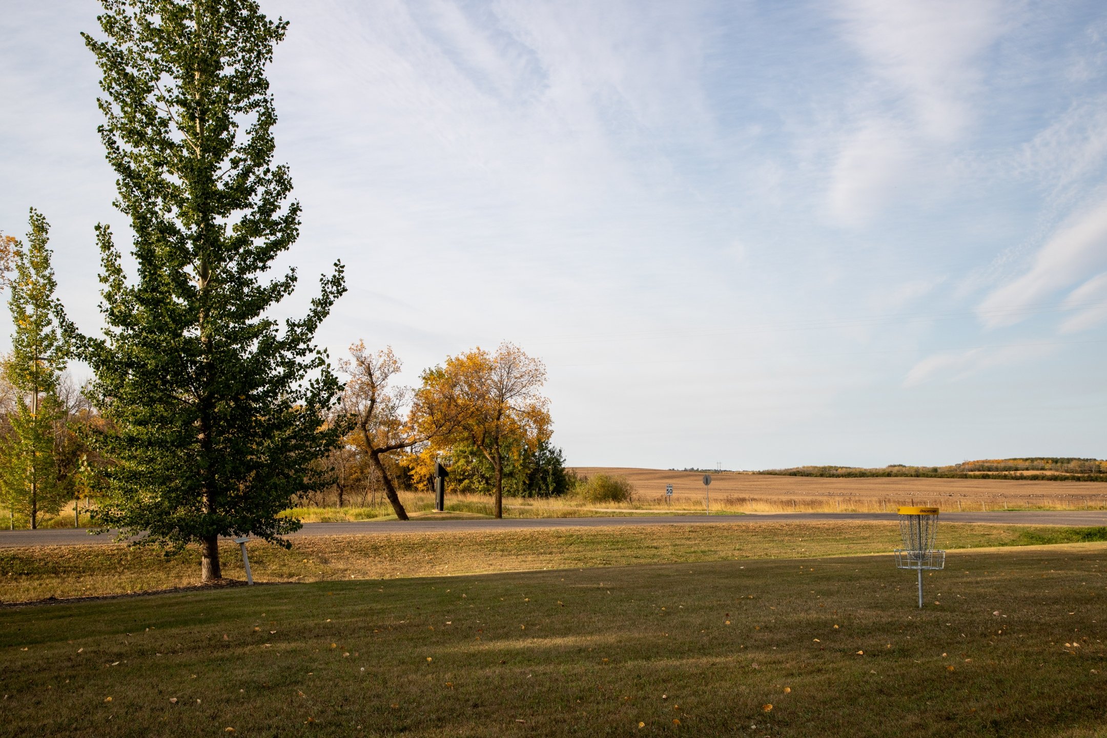 Hole 4's basket
