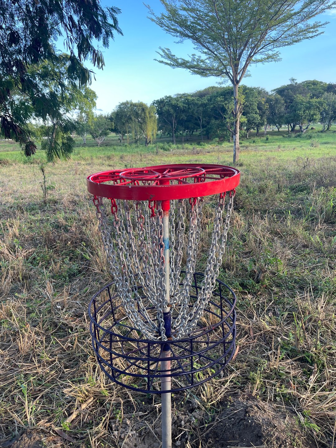 Hole 13 Basket