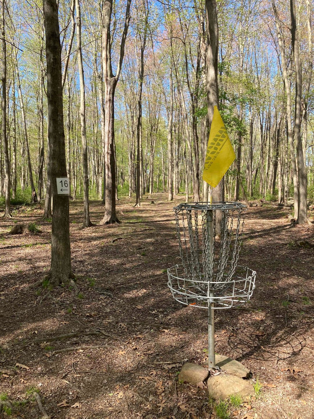 View from Hole 15 basket back up fairway