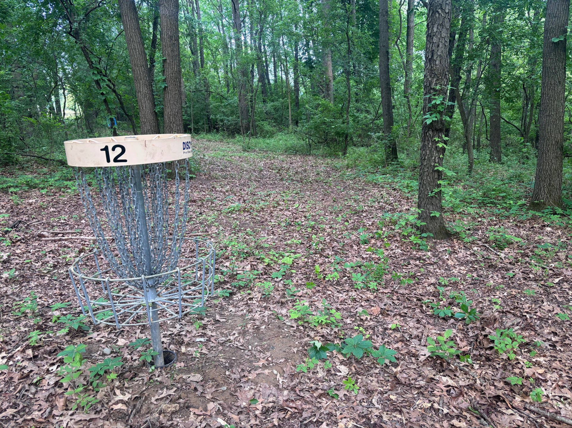 Looking back on the green of hole 12.