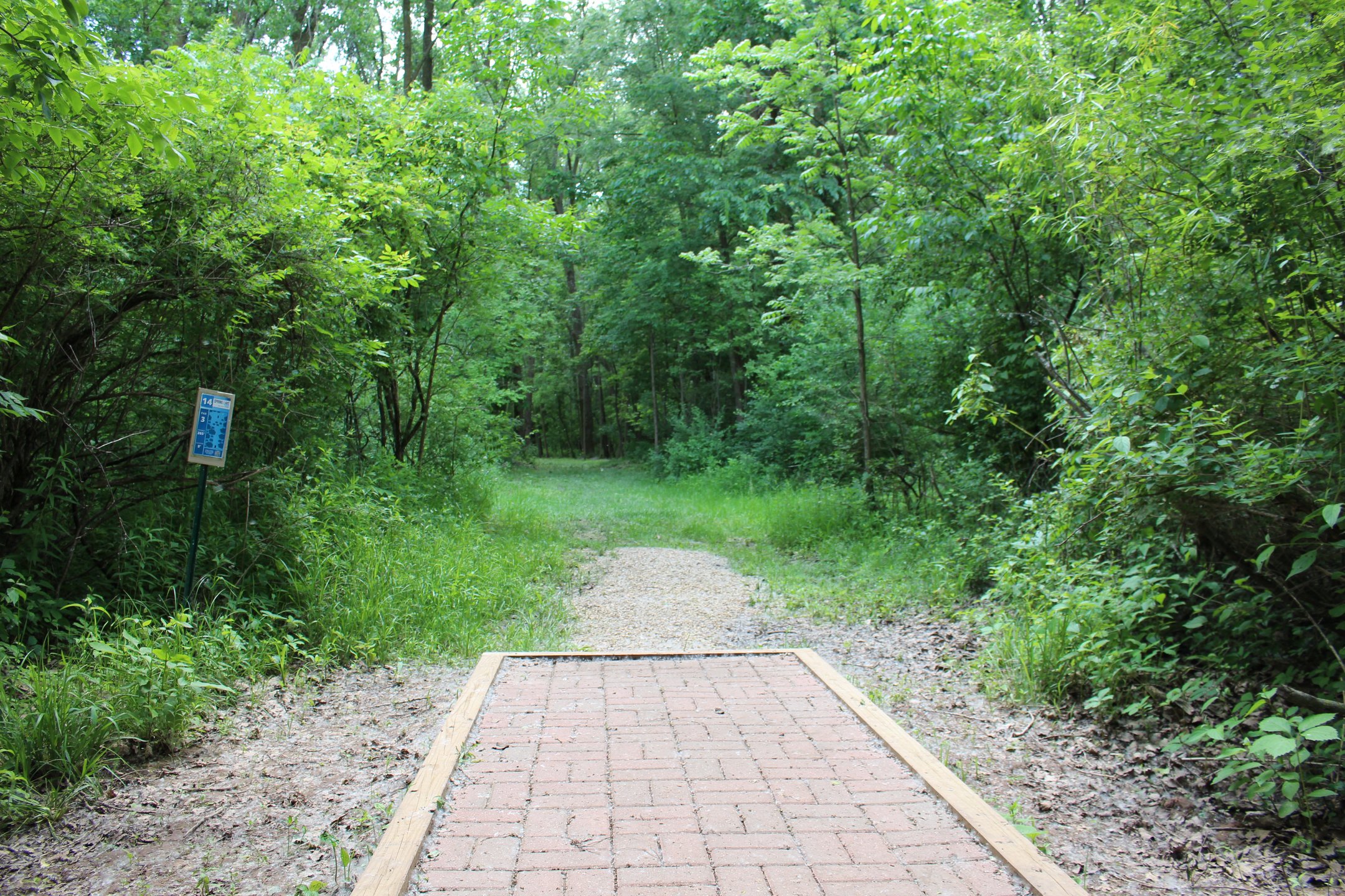 #14: Tunnel shot for 180'. Opens up slight hyzer to the left.