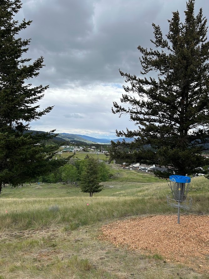 Hole 7 basket - OB beside