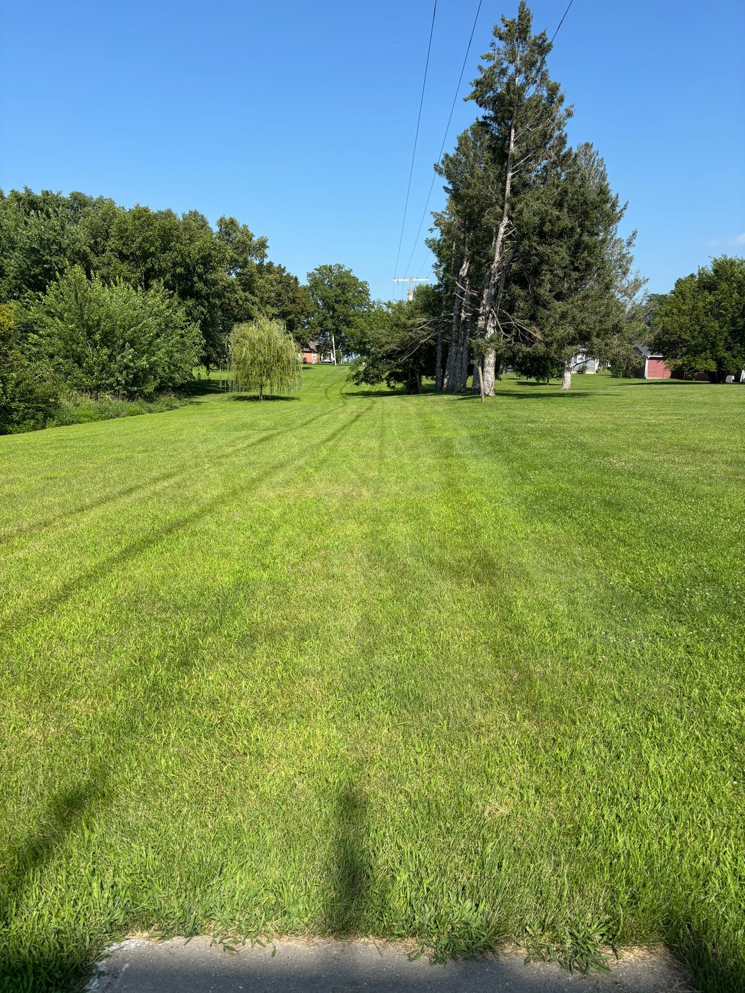 #6 Fairway
