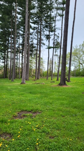 New Hole 1