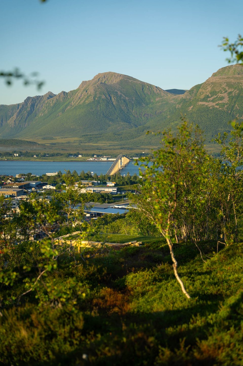 Utsikt fra tee hull 15