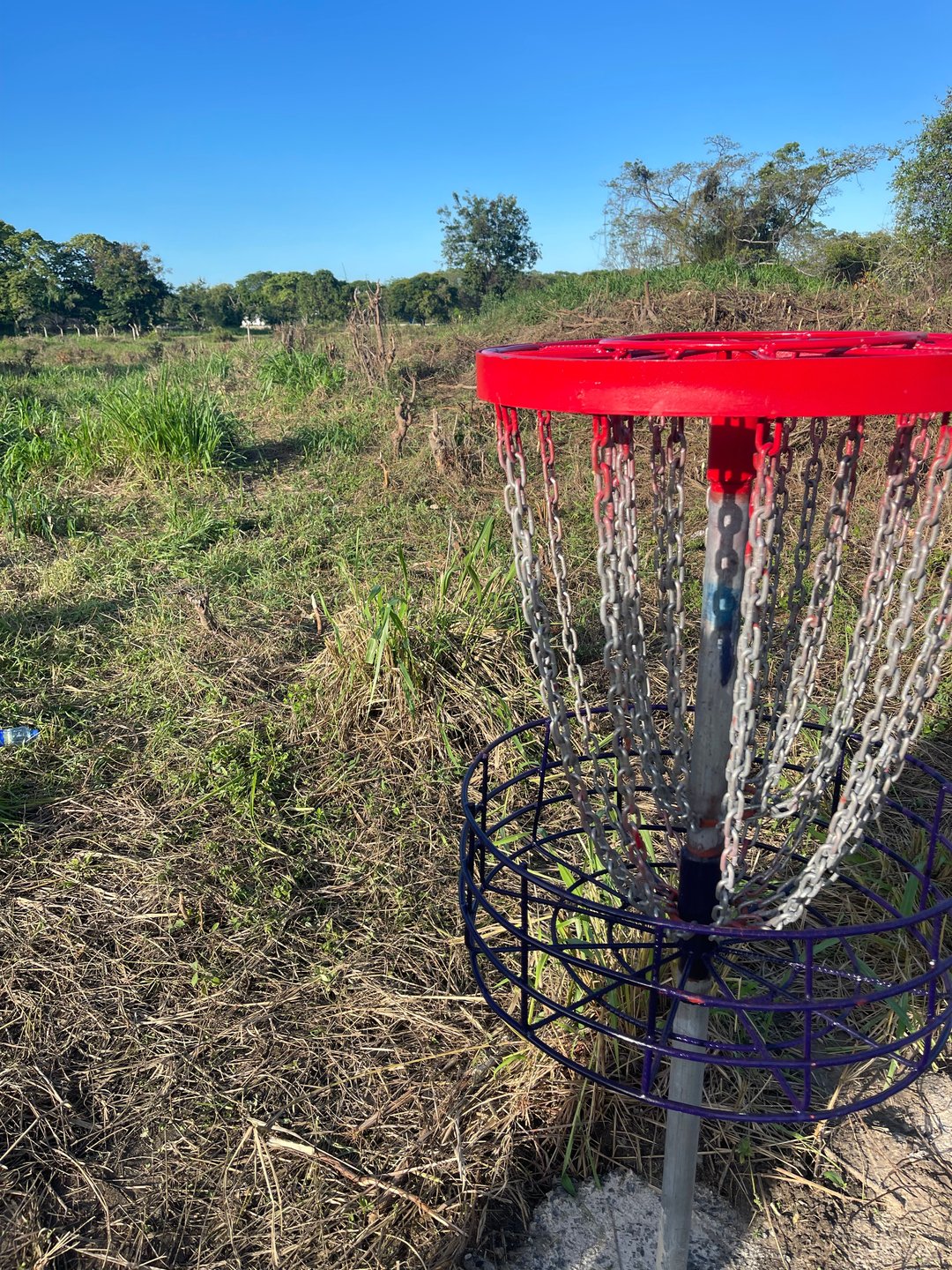 Hole 11 Basket