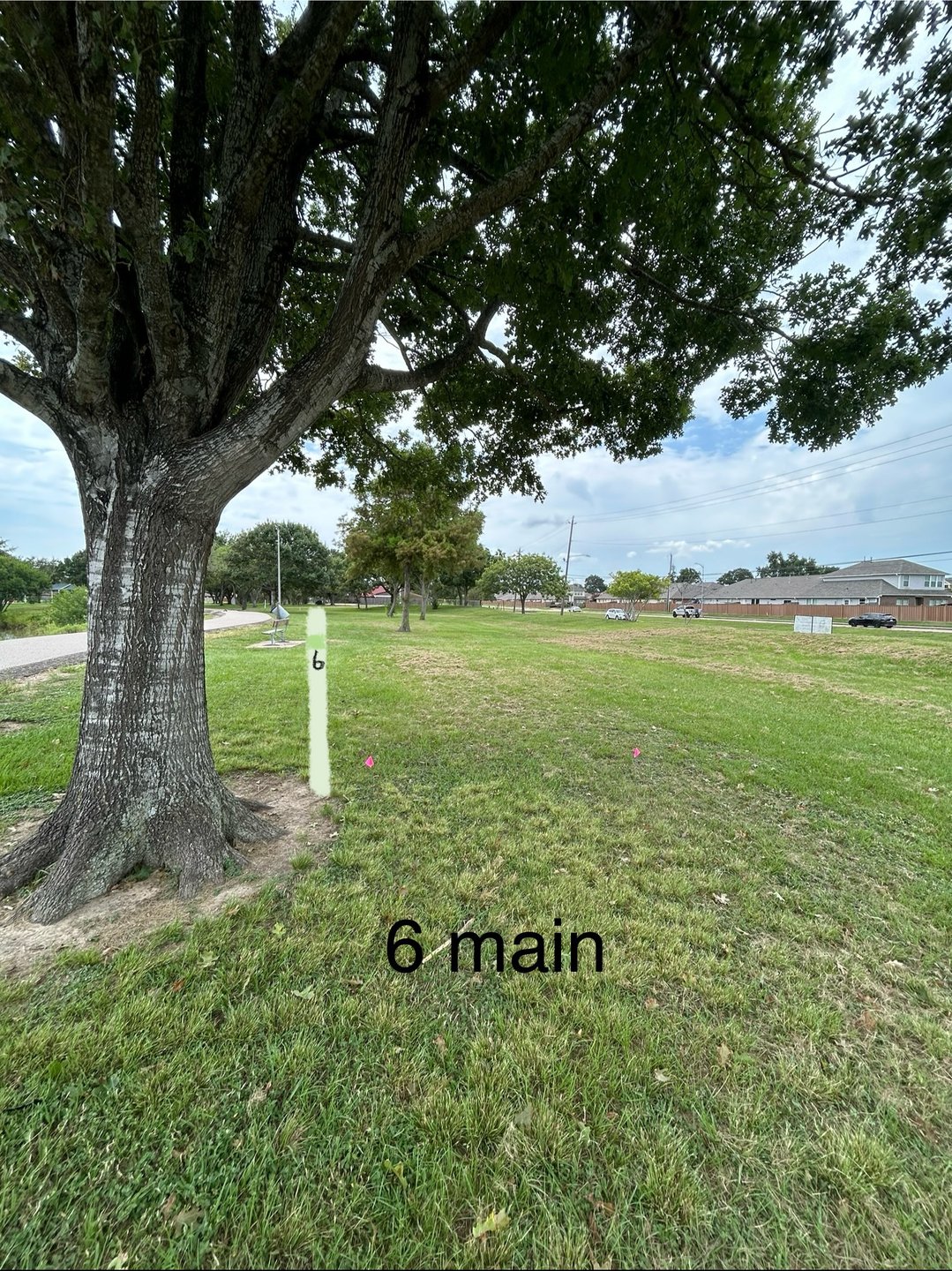 6 main/amateur tee