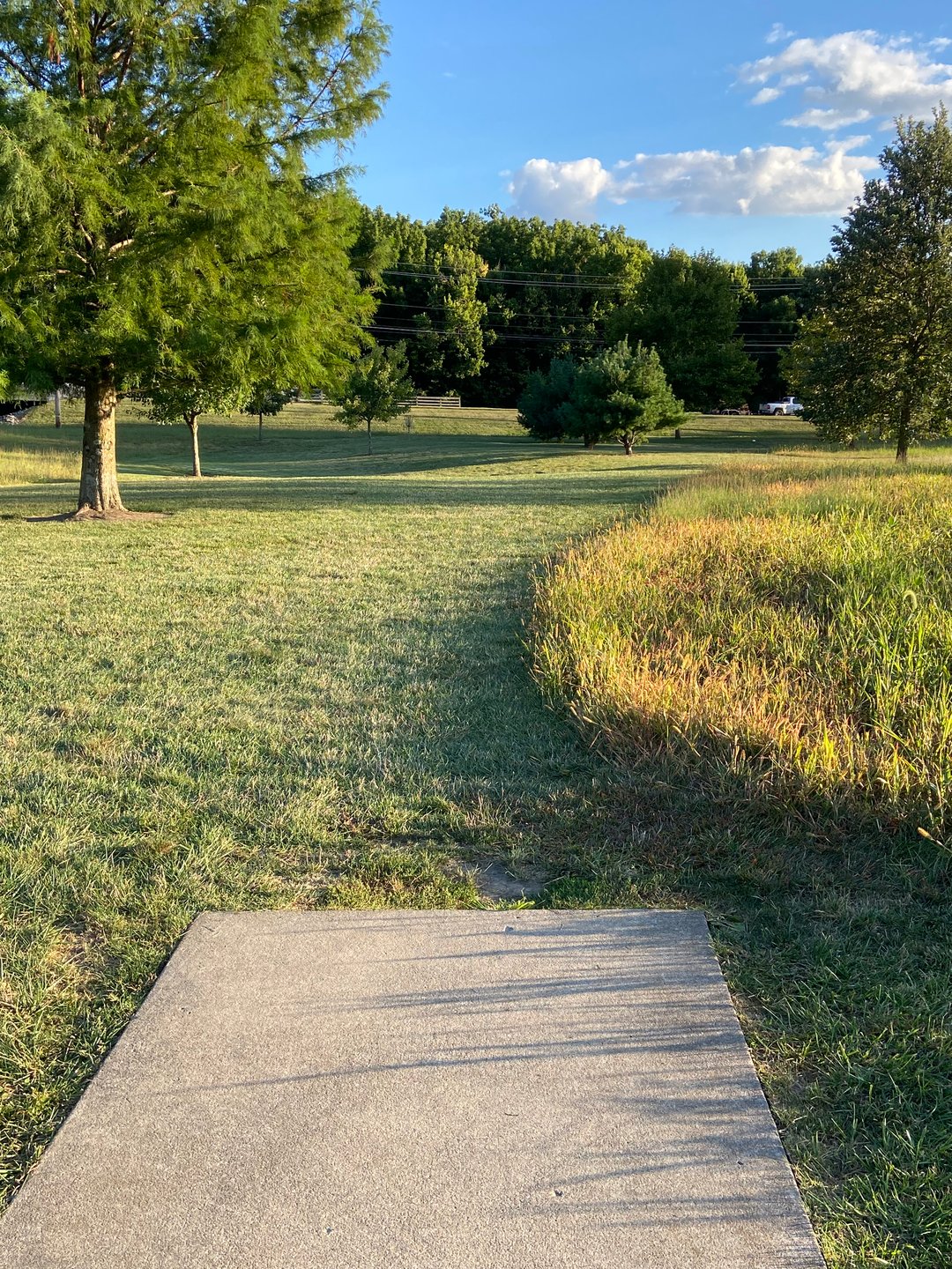 Hole 16. Road a little ways behind basket