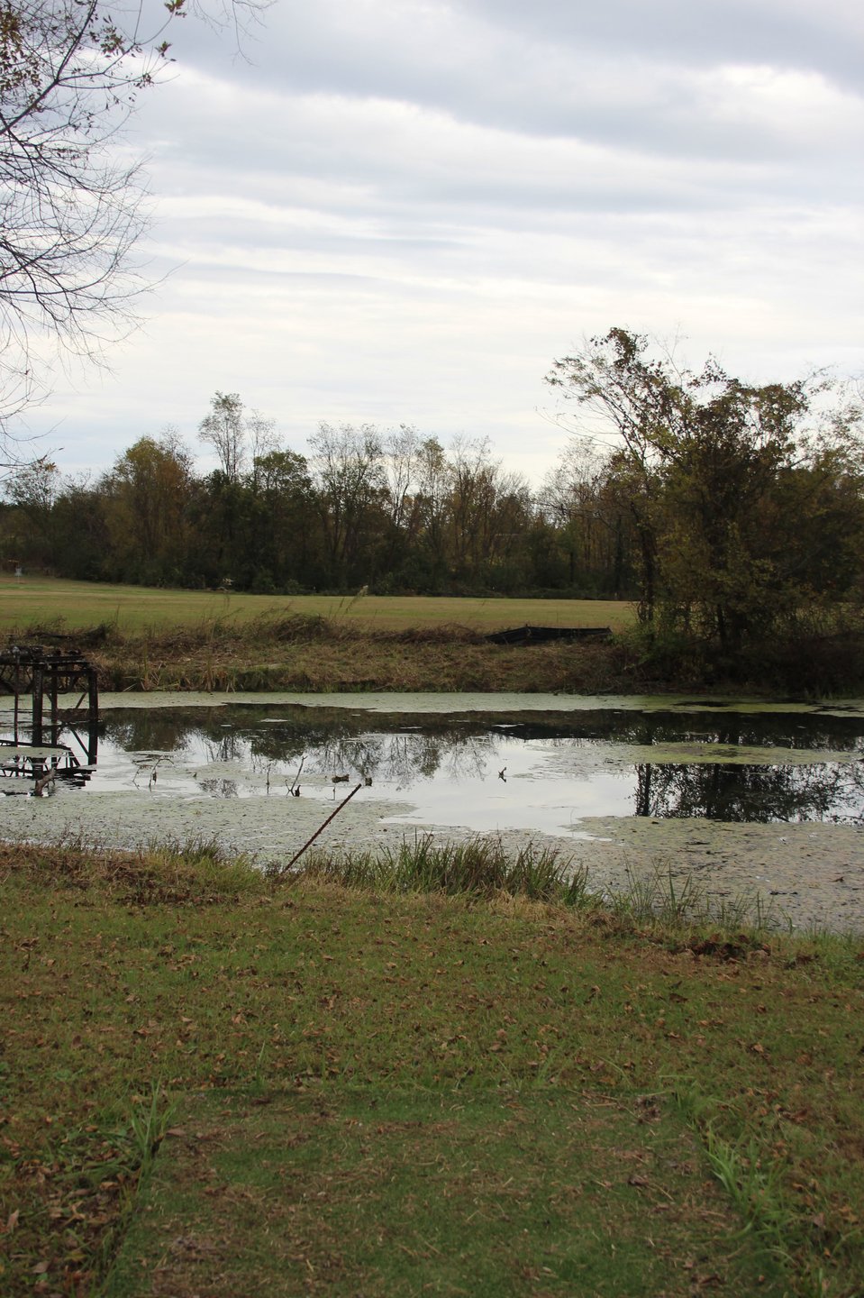 View from the short tee. Udisc has it at approximately 125 feet to clear the water. 