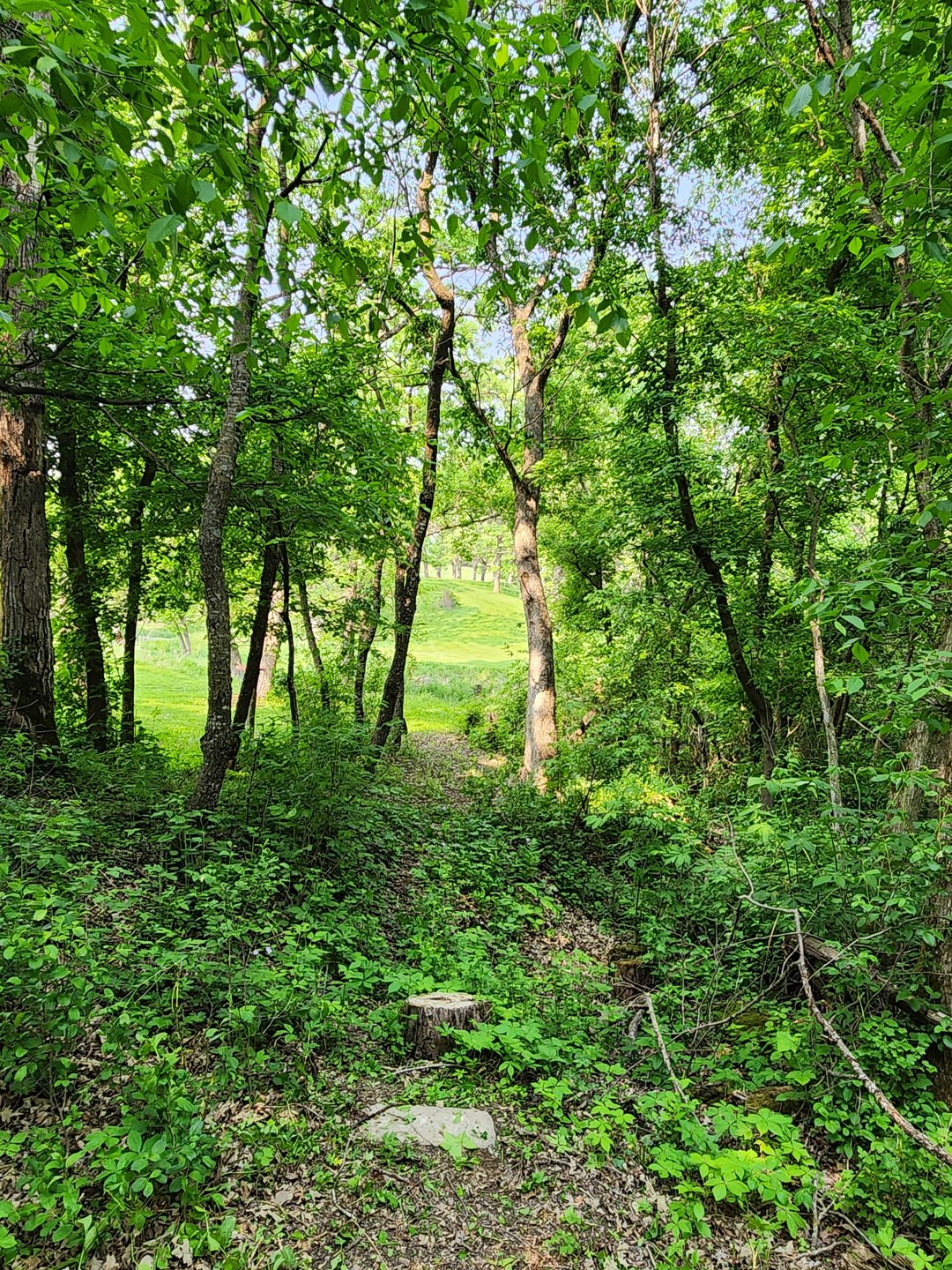 Hole 5 Tee Pad. Drive must clear the creek bed. If drive does not cross creek bed, proceed to DZ beyond creek bed. 